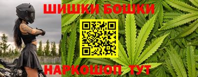 молекула духа Пугачёв
