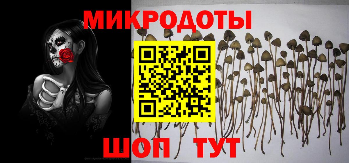 Ростов Великий  Псилоцибиновые грибы Psilocybine cubensis  наркотики  Галлюциногенные грибы Magic Shrooms  Вход с VPN 